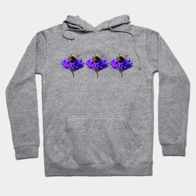 Three Cornflower with Bumblebee Floral Photos Hoodie by ellenhenryart